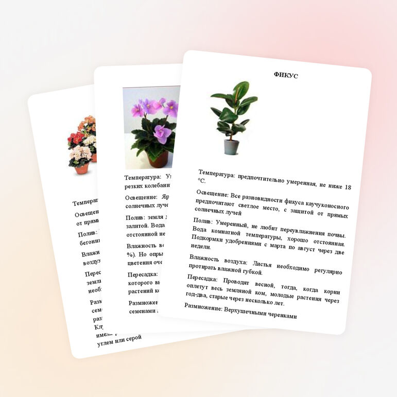 Картотека растений "Зимнего сада"