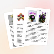 Картотека растений "Зимнего сада"