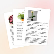 Картотека растений "Зимнего сада"