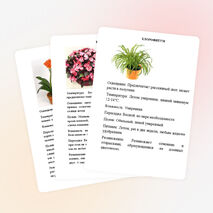 Картотека растений "Зимнего сада"