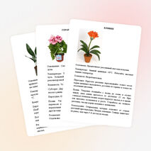 Картотека растений "Зимнего сада"