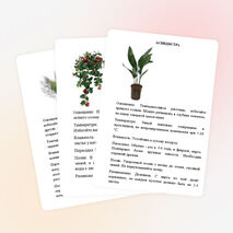 Картотека растений "Зимнего сада"