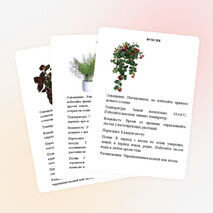 Картотека растений "Зимнего сада"