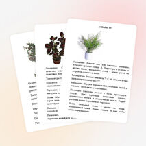 Картотека растений "Зимнего сада"