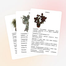 Картотека растений "Зимнего сада"