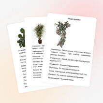 Картотека растений "Зимнего сада"