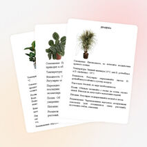 Картотека растений "Зимнего сада"