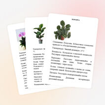 Картотека растений "Зимнего сада"