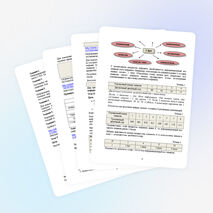 Проект урока по информатике (8 класс)