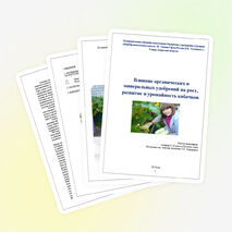 Исследовательская работа «Влияние удобрений на рост, урожайность кабачков»
