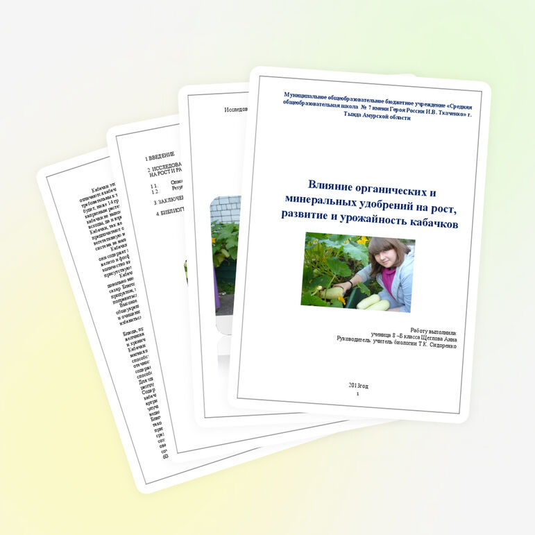 Исследовательская работа «Влияние удобрений на рост, урожайность кабачков»