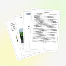 Исследовательская работа «Влияние удобрений на рост, урожайность кабачков»