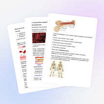 План – конспект урока по биологии на тему «Кровь. Кровообращение» (8 класс)