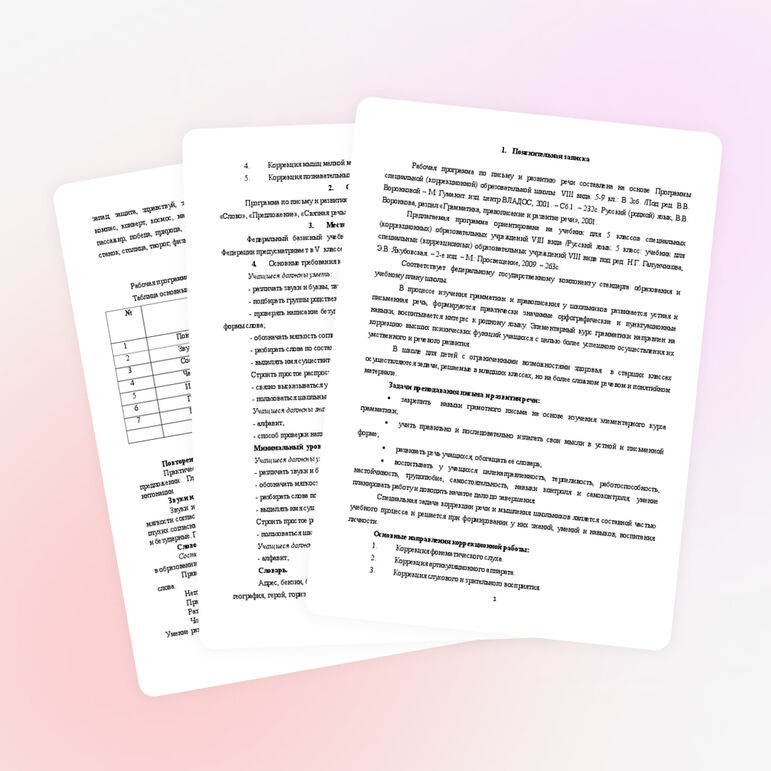 Адаптированная рабочая программа по русскому языку 5 класс