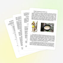 Исследовательский проект учащейся 11 химико-биологического класса