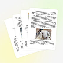 Исследовательский проект учащейся 11 химико-биологического класса