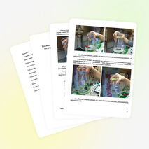 Исследовательский проект учащейся 11 химико-биологического класса