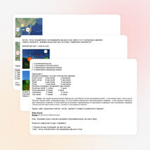 Конспект урока по географии на тему "Ветер"(6 класс)