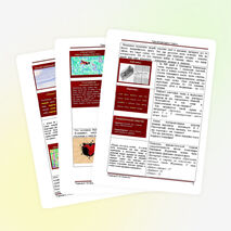 Урок литературы в 5 классе на «Добро и зло в сказке К. Г. Паустовского «Тёплый  хлеб»»