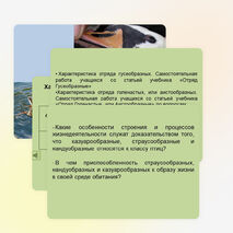 Презентация по биологии на тему "Водоплавающие птицы и птицы околоводных пространств" (7 класс)