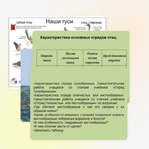 Презентация по биологии на тему "Водоплавающие птицы и птицы околоводных пространств" (7 класс)