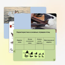 Презентация по биологии на тему "Водоплавающие птицы и птицы околоводных пространств" (7 класс)