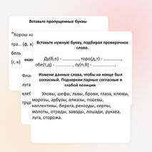 Презентация по русскому языку на тему "Парные согласные в корне слова" (2-4 класс)