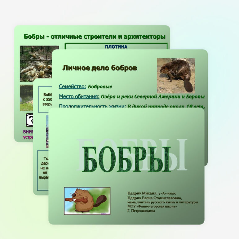 Презентация по окружающему миру "Бобры" (2-3 классы)