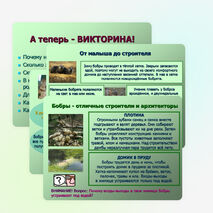 Презентация по окружающему миру "Бобры" (2-3 классы)