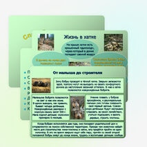 Презентация по окружающему миру "Бобры" (2-3 классы)