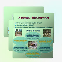 Презентация по окружающему миру "Бобры" (2-3 классы)