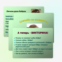 Презентация по окружающему миру "Бобры" (2-3 классы)