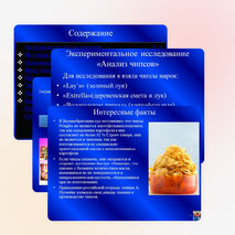 Презентация на тему:"Чипсы-вред или польза?"