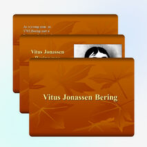 Презентация по английскому языку на тему "Витус Беринг"( 9 класс)