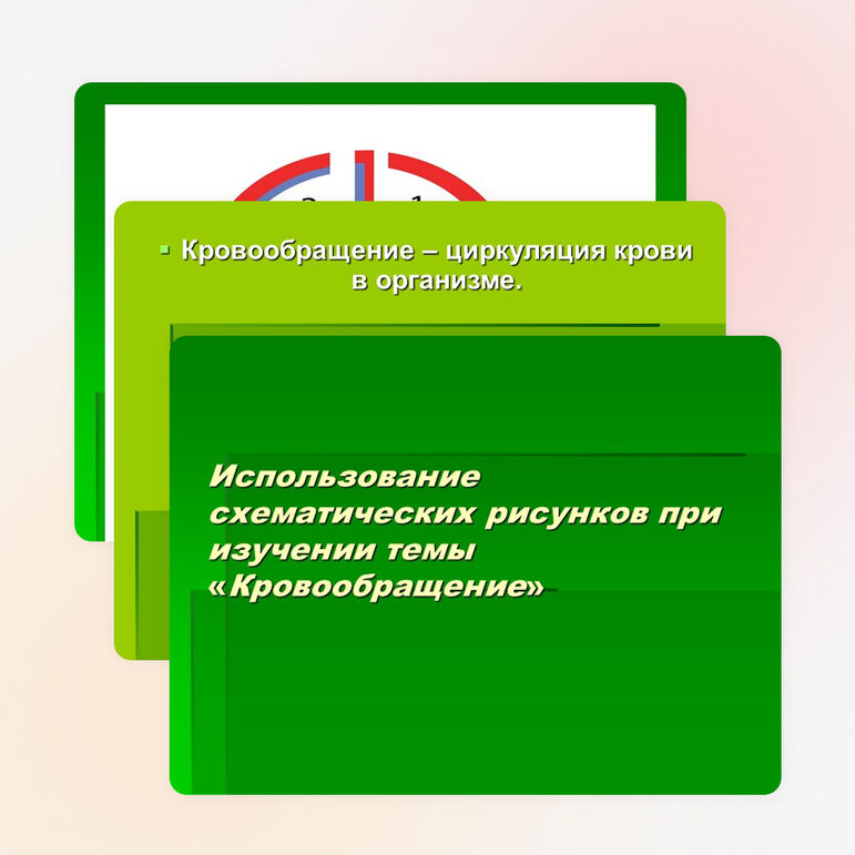 Биология. Круги кровообращения большой и малый. 8-11 классы«Использование схематических рисунков при изучении темы «Круги кровообращения»»