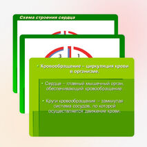 Биология. Круги кровообращения большой и малый. 8-11 классы«Использование схематических рисунков при изучении темы «Круги кровообращения»»