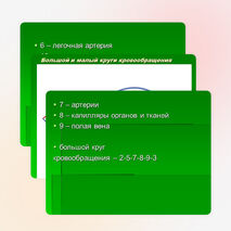 Биология. Круги кровообращения большой и малый. 8-11 классы«Использование схематических рисунков при изучении темы «Круги кровообращения»»