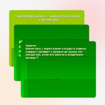 Биология. Круги кровообращения большой и малый. 8-11 классы«Использование схематических рисунков при изучении темы «Круги кровообращения»»