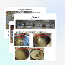 Проект "Выращивание кристаллов из соли" Пинаева Ксения 2 класс