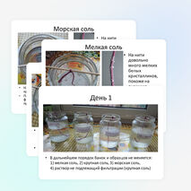 Проект "Выращивание кристаллов из соли" Пинаева Ксения 2 класс