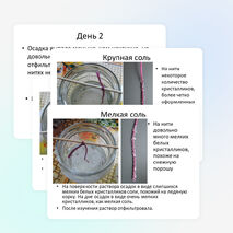 Проект "Выращивание кристаллов из соли" Пинаева Ксения 2 класс