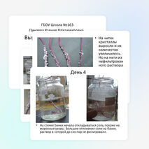 Проект "Выращивание кристаллов из соли" Пинаева Ксения 2 класс