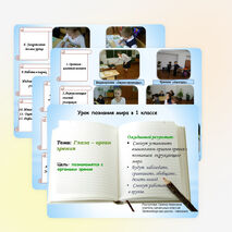 Презентация урока по познанию мира "Глаза - орган зрения" (1 класс)