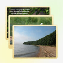 Презентация по окружающему миру на тему "Озеро Ханка" (2-4 класс)