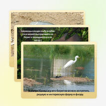 Презентация по окружающему миру на тему "Озеро Ханка" (2-4 класс)