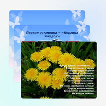 Игра - путешествие по стране "Занимательная биология" (6 класс)