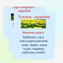 Презентация по татарской литературе