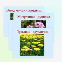 Презентация по татарской литературе