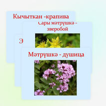 Презентация по татарской литературе