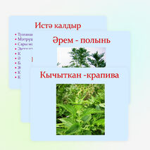 Презентация по татарской литературе